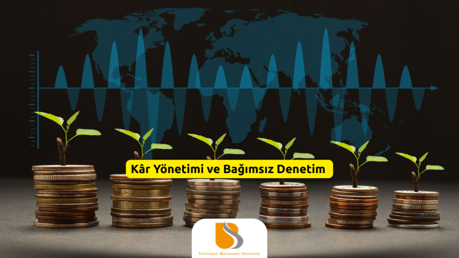 Kâr Yönetimi ve Bağımsız Denetim